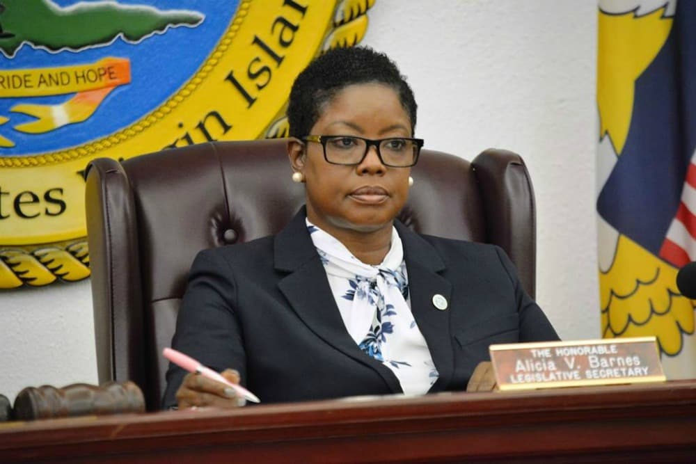 Senator Alicia Barnes