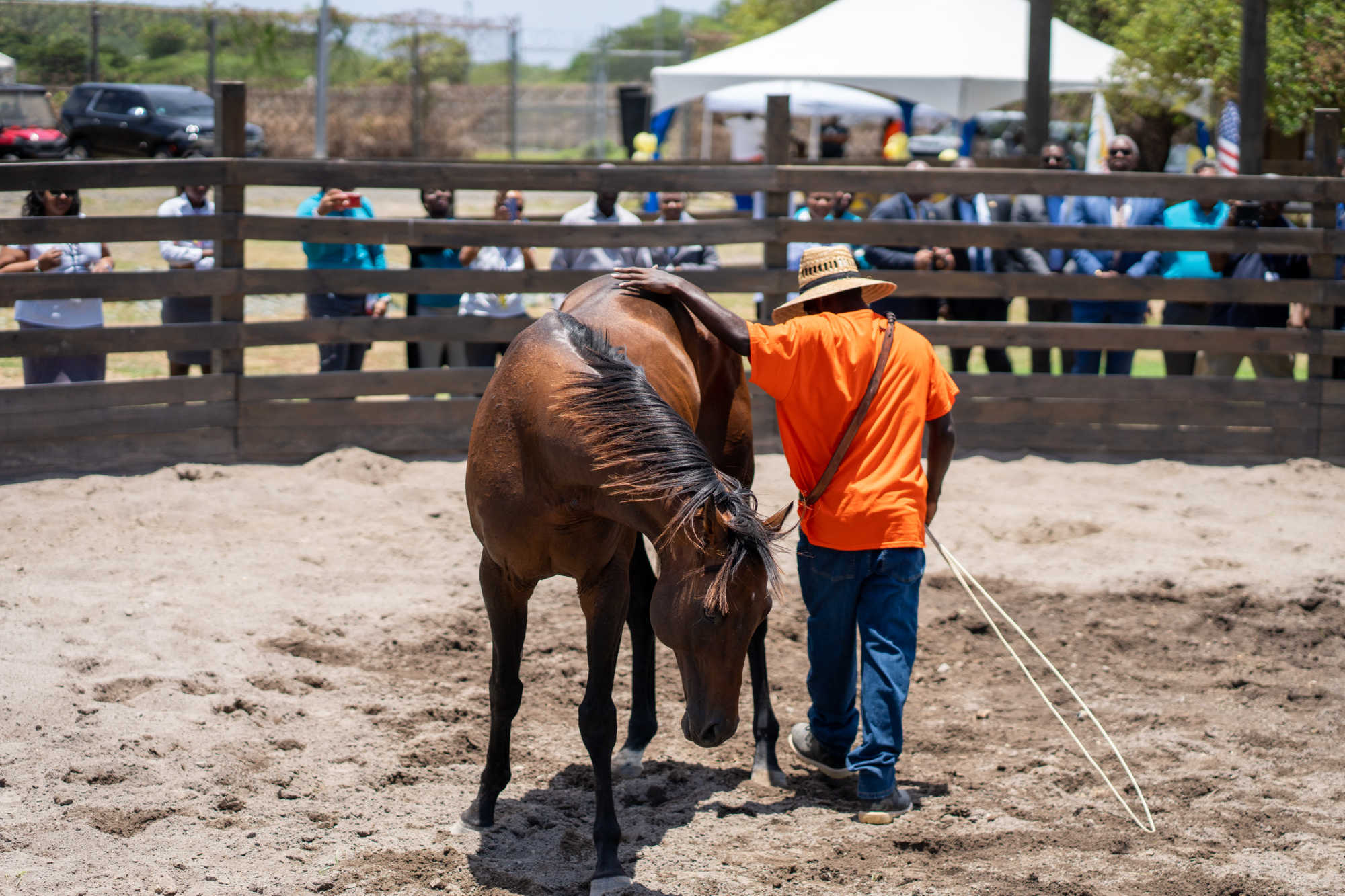 An inmate at St. Croix's John A. Bell Correctional Facility participates in the Equine Therapy Program, a joint initiative between the Bureau of Corrections and the Virgin Islands Equestrian Equine Therapy Project, Inc.