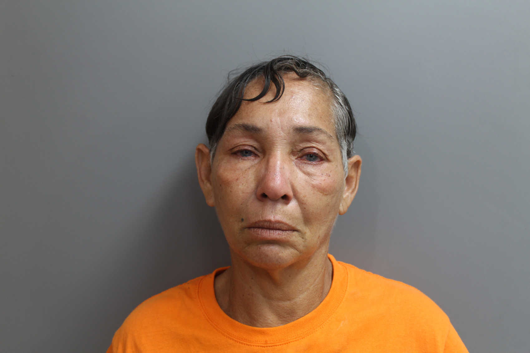 Mugshot of Frances McIntosh.