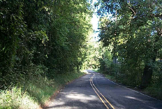 FEMA Awards Public Works $3.7M for Mahogany Road Drainage Improvements and $4.2M for Drainage Improvements to Donoe Bypass