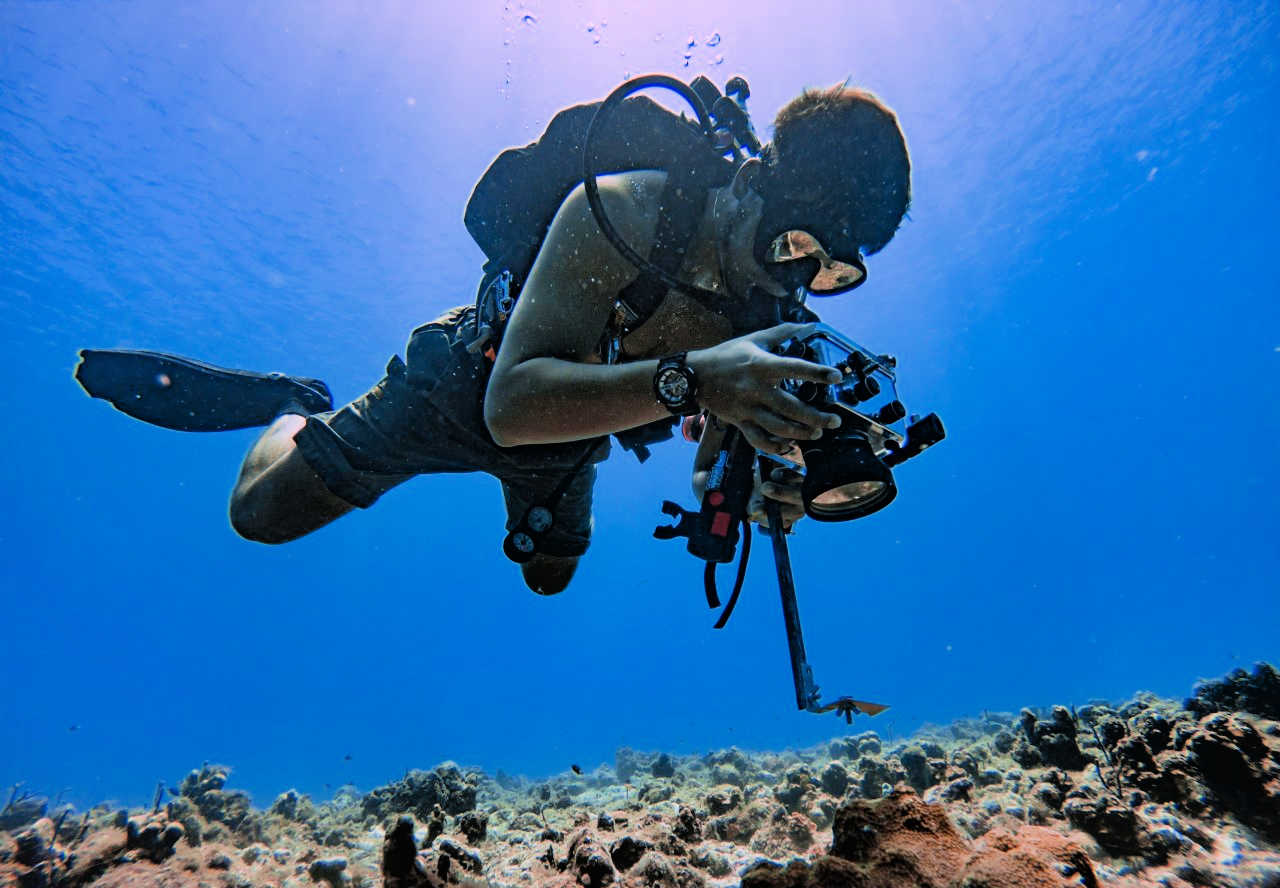 $1 Million National Science Foundation Award Received by UVI to Support Marine Science Graduate Students and Workforce Positions