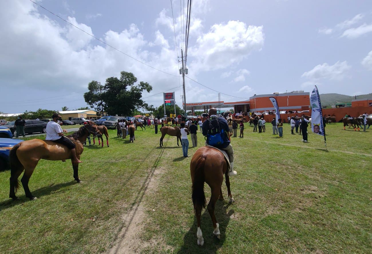 Horsemen on Saturday descended on a Senator Kenneth Gittens food sale to protest the destruction of Williams Delight Downs, a horse race track built by St. Croix horsemen.