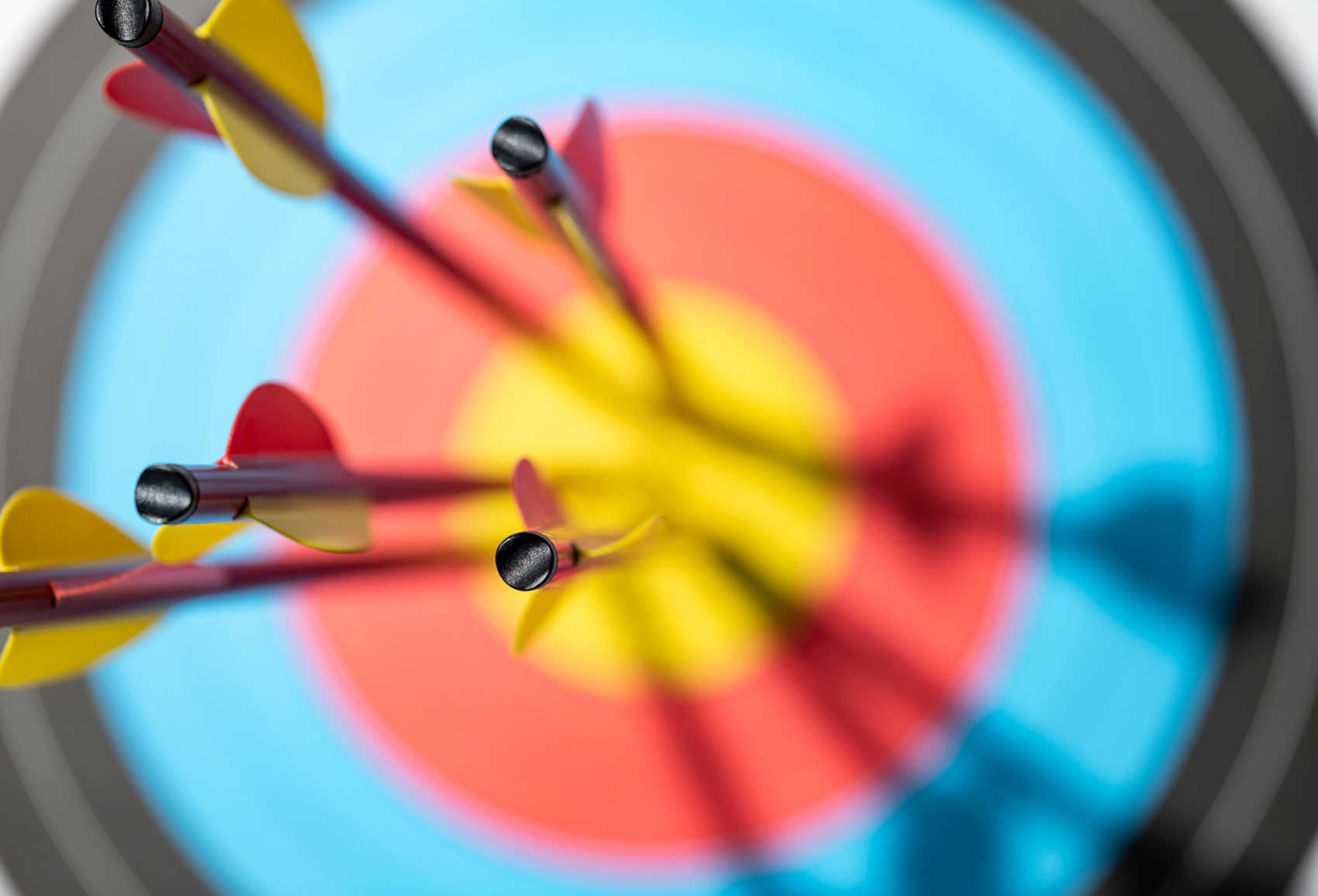 Public Archery Field Closed Until at Least March, Says DPNR