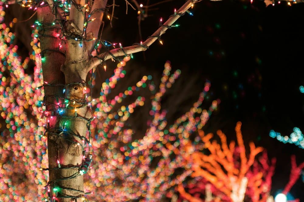 WICO, Havensight Come Alive on Dec. 6 for the 35th Annual Christmas Tree Lighting Event