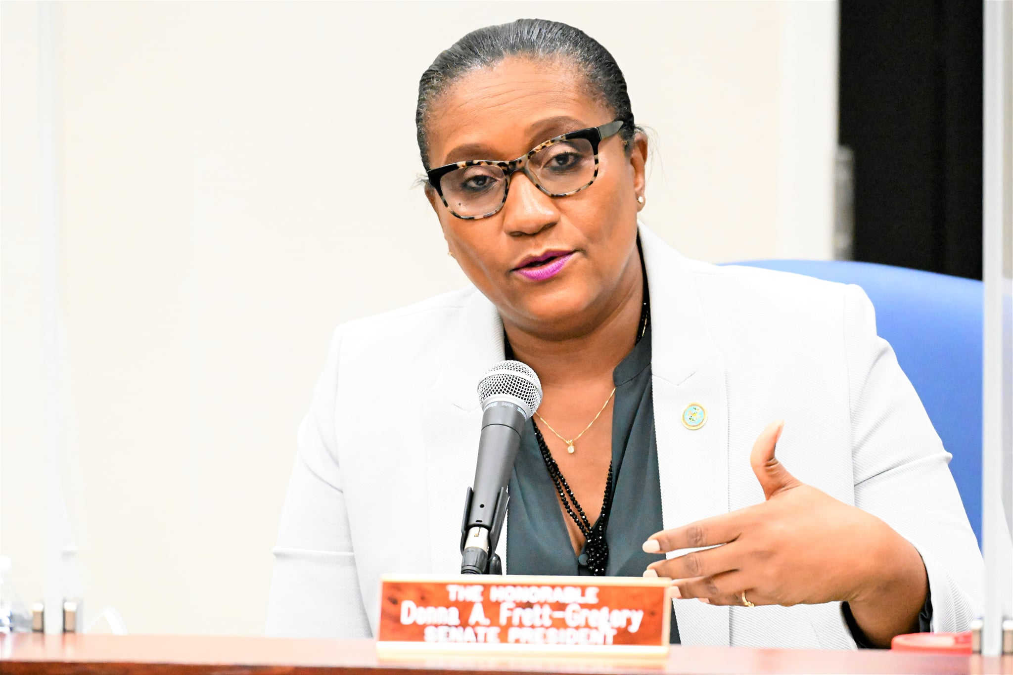 Senator Donna Frett-Gregory sponsored several measures aimed either renewing or providing new lease agreements to nonprofits to provide essential services to the community.