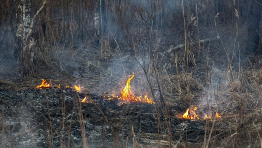 Citing Dry Weather Conditions, V.I. Fire Service Issues Ban on Outdoor Burning
