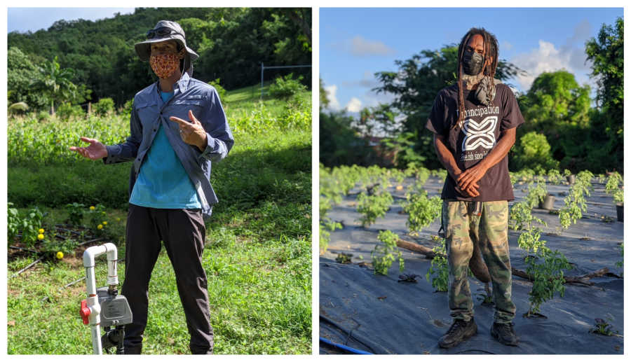 Food Producers in USVI Get New Funding Opportunity of Up to $20,000