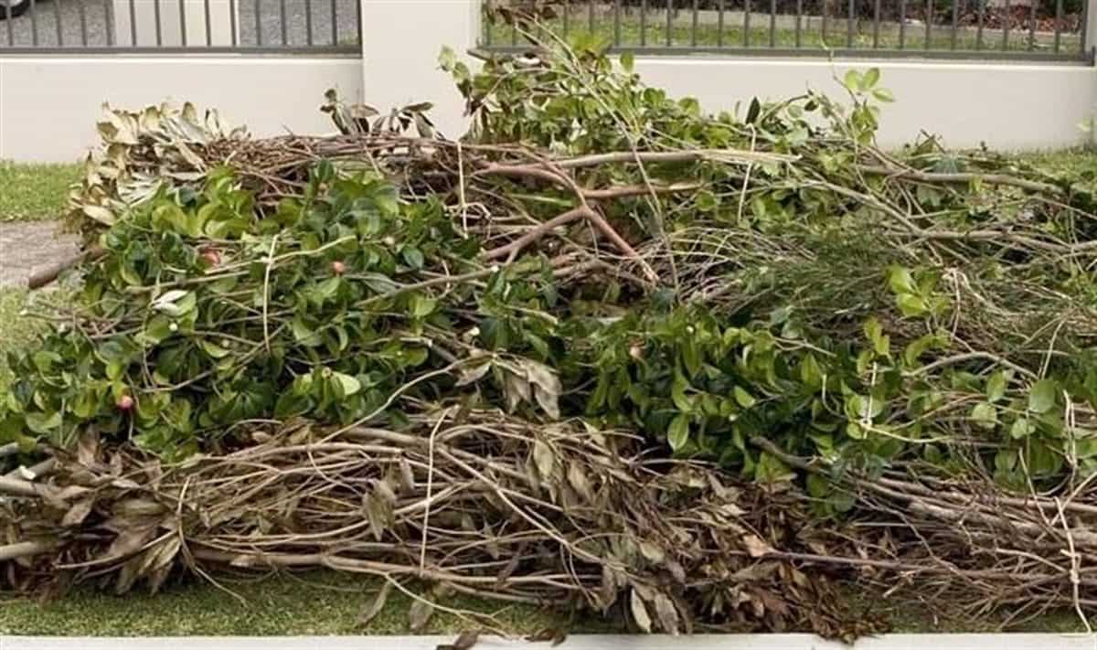 WMA Asks Commercial Haulers and Residents to Hold Their Green Waste Until Further Notice