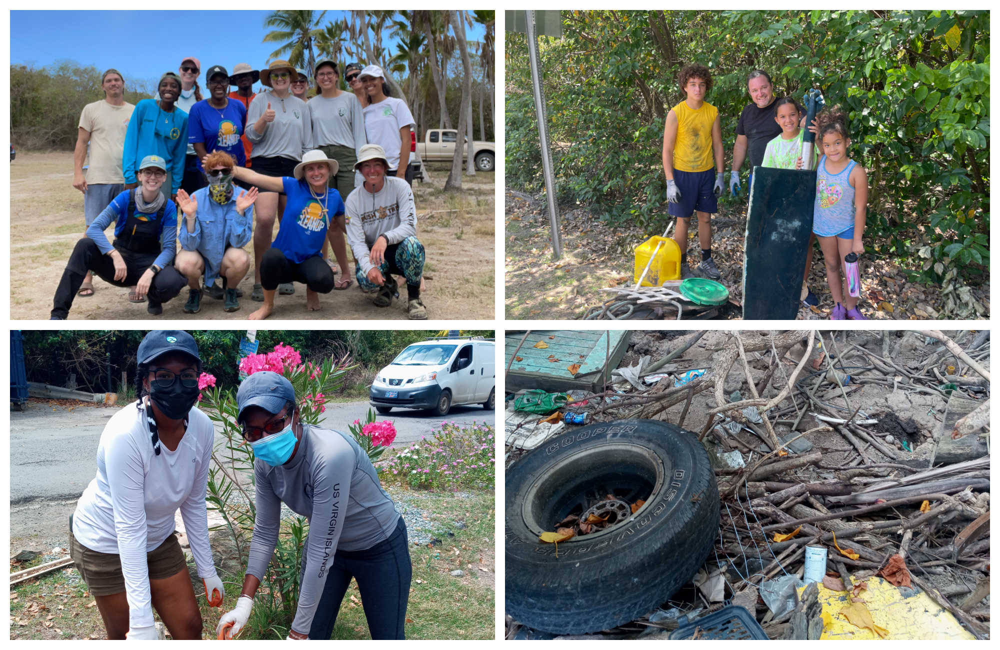Great Mangrove Cleanup volunteers.