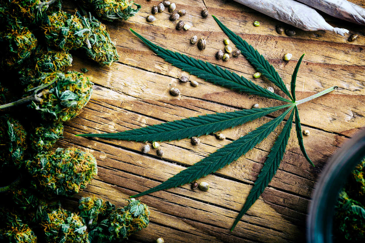 MARIJUANA
