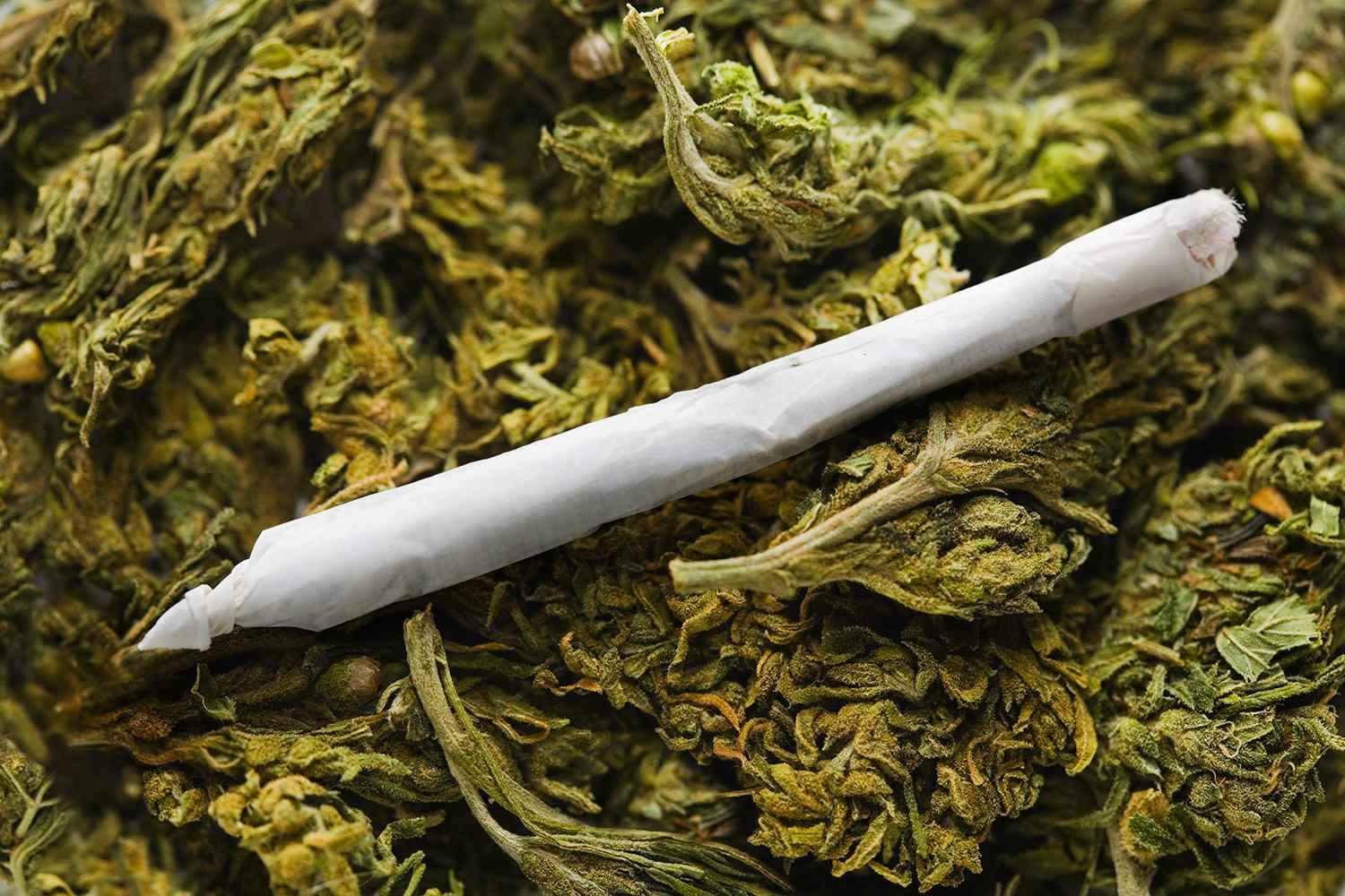 Jury Finds Colombian National Guilty of Conspiracy and Transporting 593 Kilograms of Marijuana on Board a Go-Fast Boat