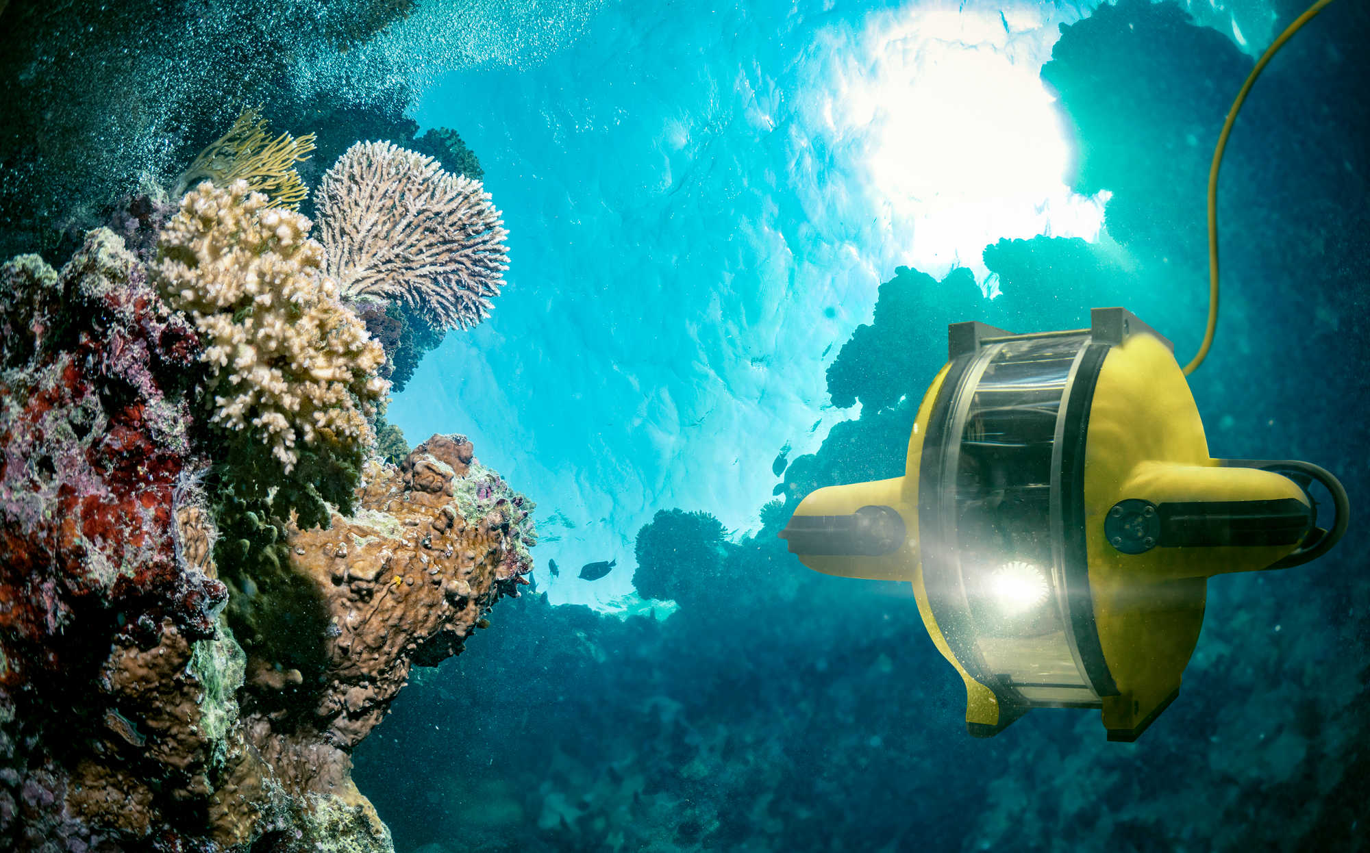 Request for Proposals: Port Authority Seeking Marine Engineering Consulting Firms to Conduct Marine Rate Study