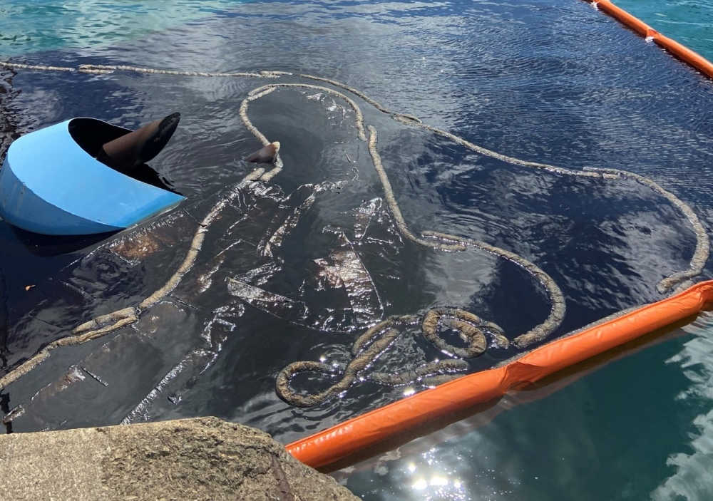 National Response Corporation crews placed a new barrier of containment and absorbent boom around the partially sunk tugboat Cape Lookout Nov. 17, 2020 at the St. Croix Renaissance, LLP facility within Krause Lagoon in St. Croix.
