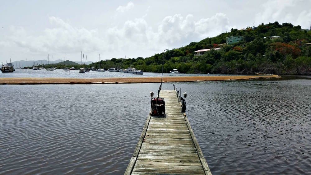 Boom with Sargassum