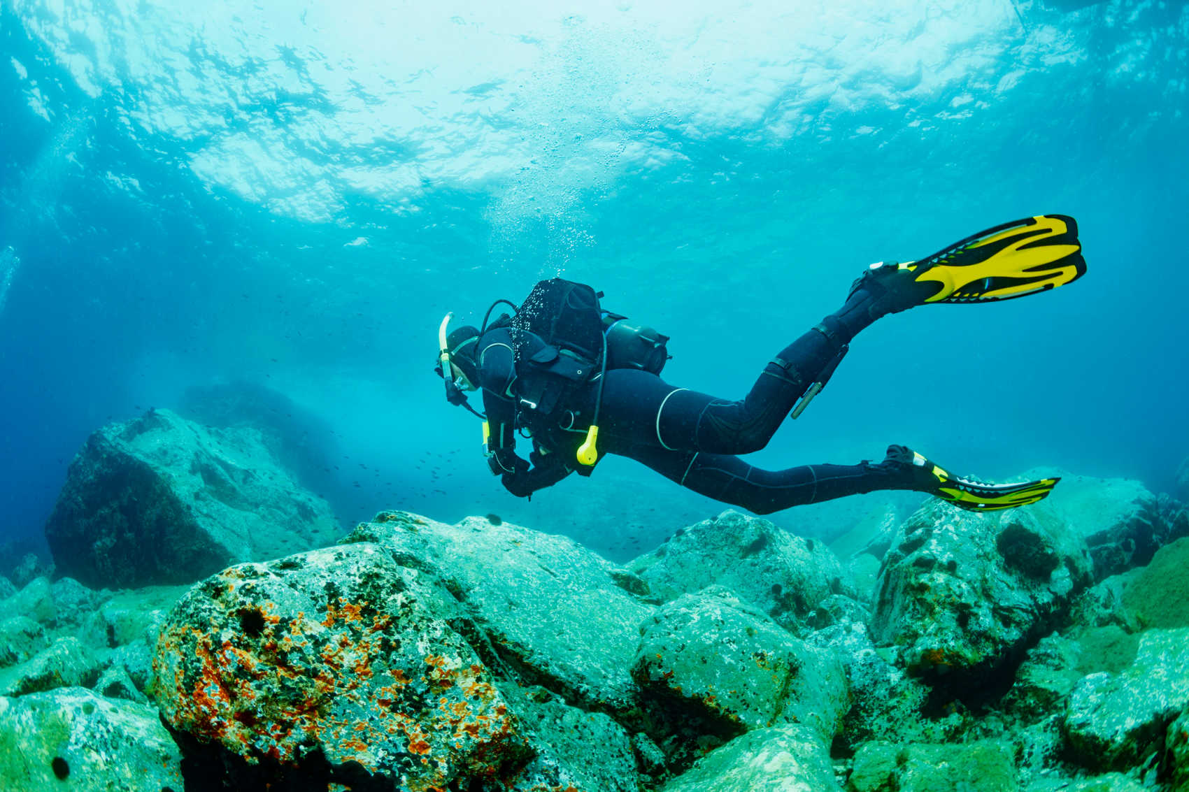 National Park Service Invites Proposals for Snorkeling and Watersports Equipment at Virgin Islands Park
