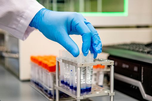 All St. Lucia Coronavirus Patients Have Recovered, Government Says