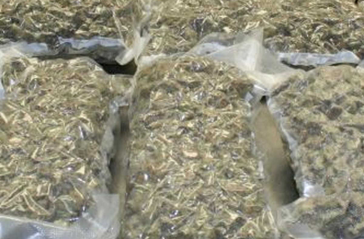 Man Pleads Guilty After Arriving at St. Thomas Airport With Nine Vacuum-Sealed Packages of Marijuana
