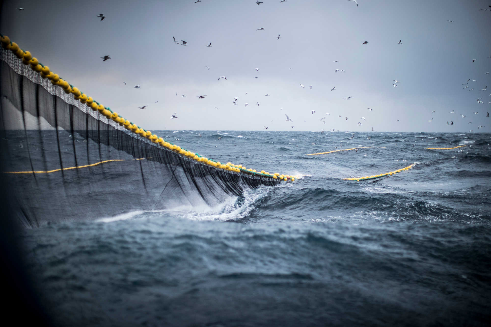 DPNR Embarks on 14-Month Study That Observes Vessel Behavior in Territorial Waters