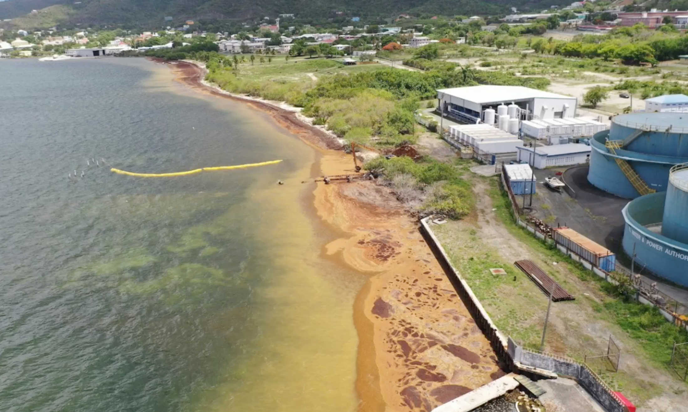 Aerial shot of WAPA's shoreline in Richmond, St. Croix affected by Sargassum.