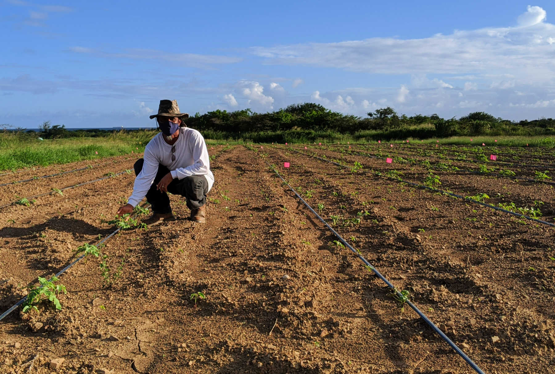 World Health Kitchen Announces Fourth-Round Recipients of Grants Disbursed Through Its Food Producer Program