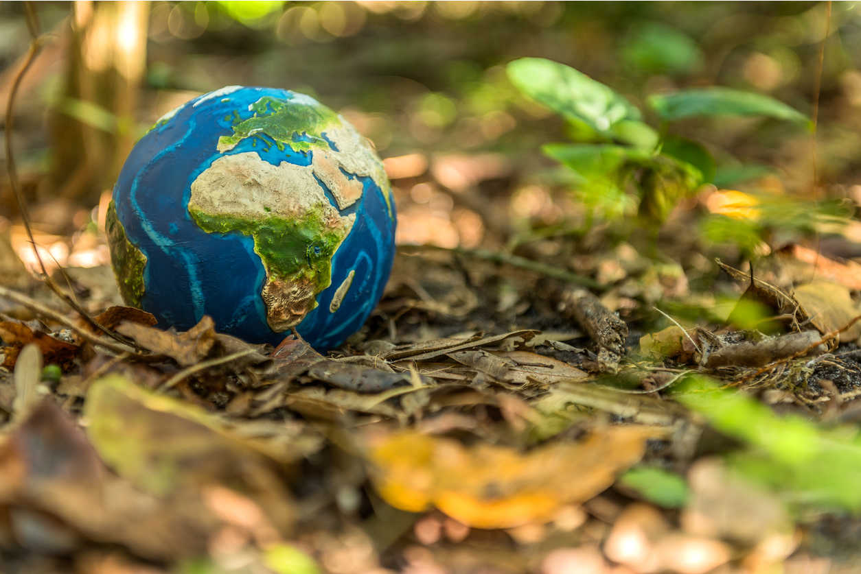UVI Partners with Government Agencies to Celebrate Earth Day 2021