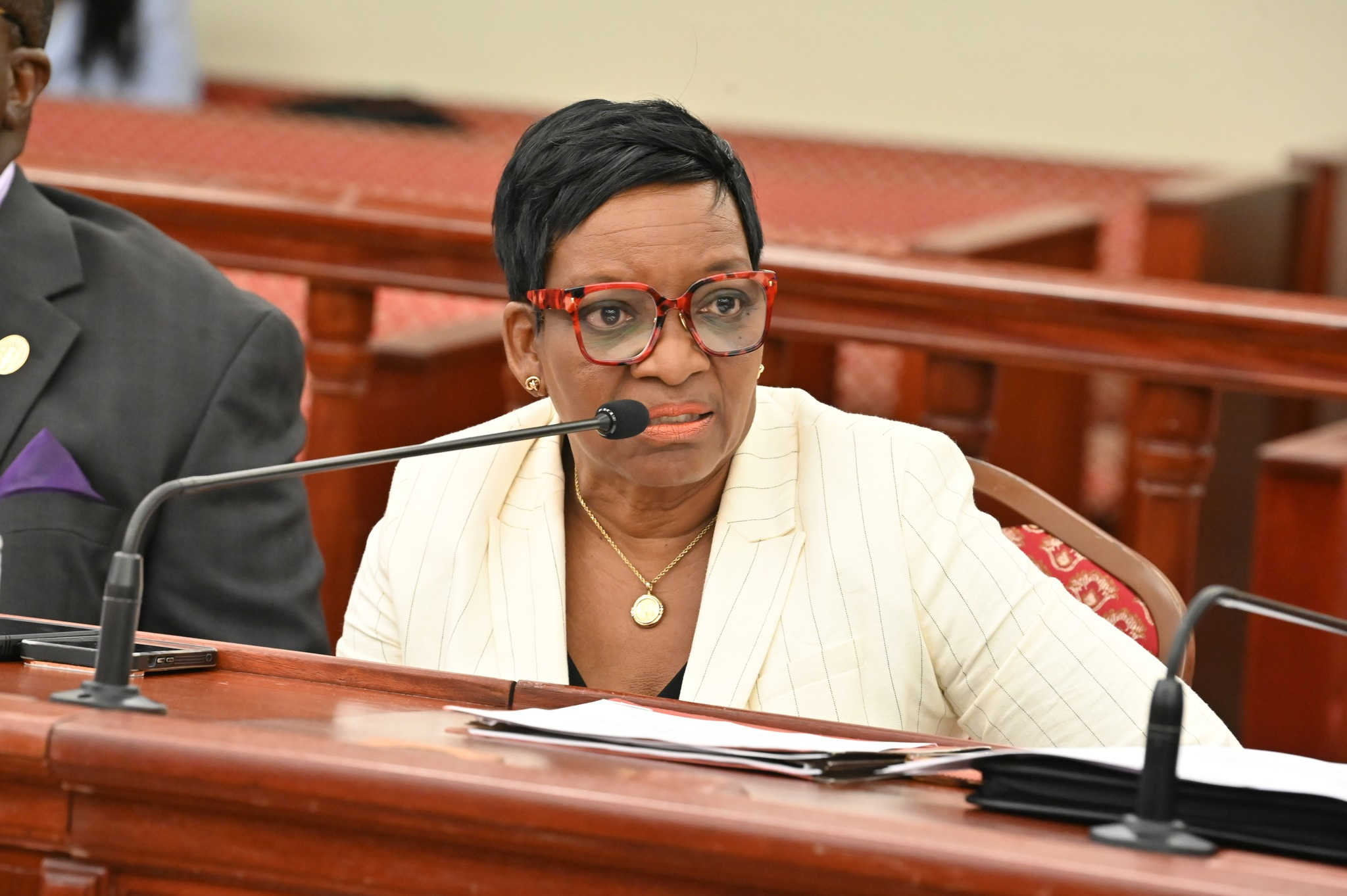 Carol Burke Pushes Back on Criticism of Democratic Party’s New Election Standards