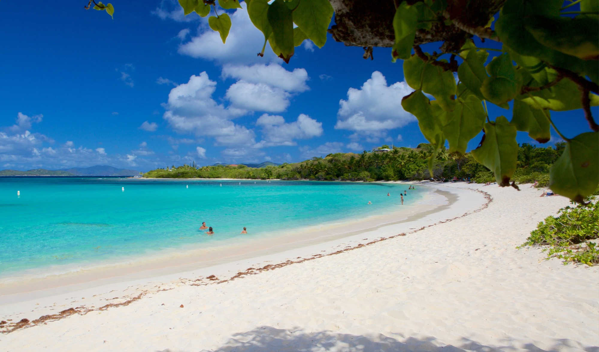 Lindquist Beach C...