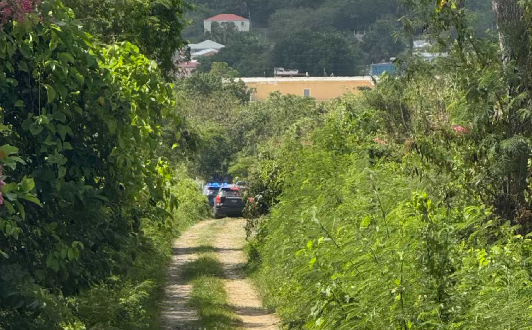 Decomposed Body F...