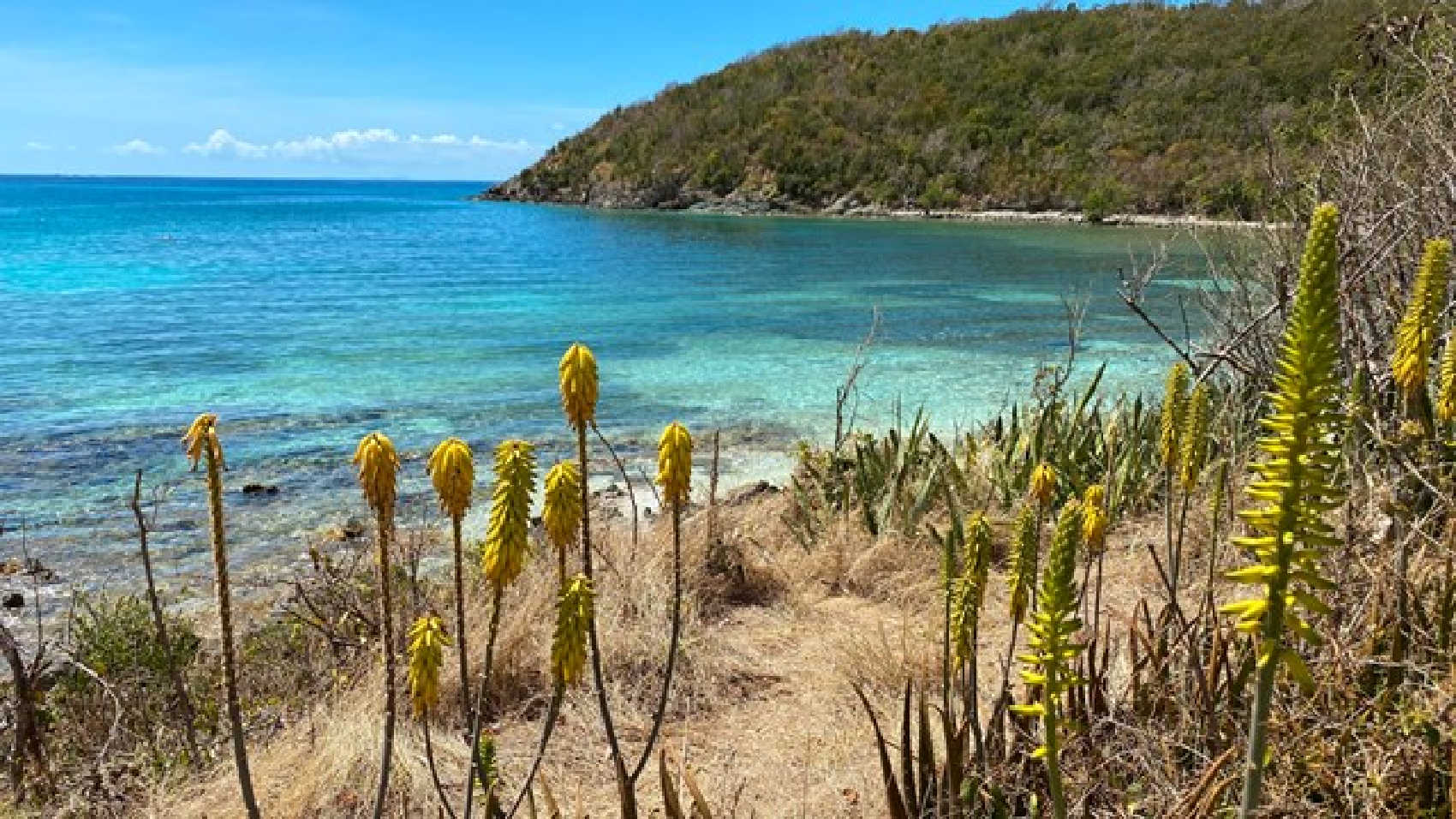 Public Hearing Scheduled on Federal Proposal to Repair Lameshur Road on St. John