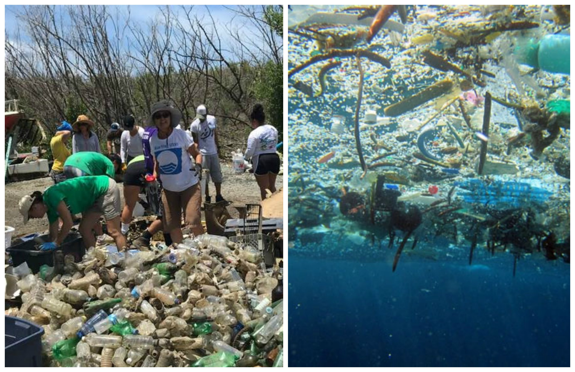 VI Clean Coast Campaign To Launch August 1