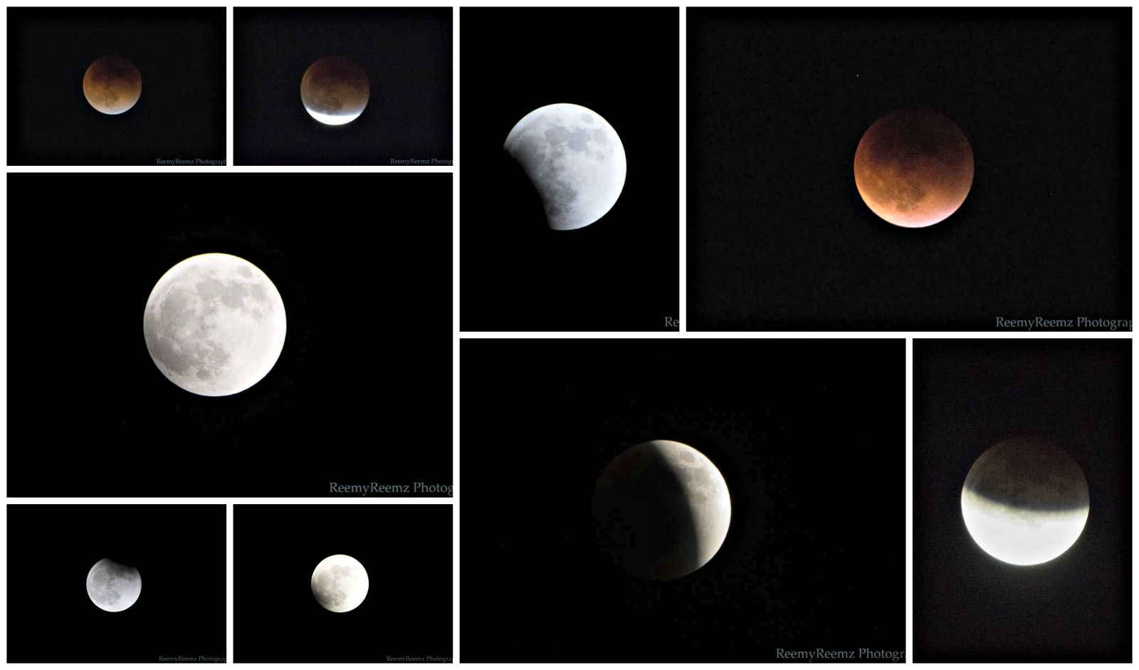 All Sunday Night's Super Blood Moon Pictures In One Place