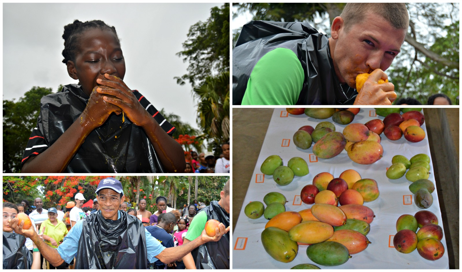 Mango Melee 2015: Another Success