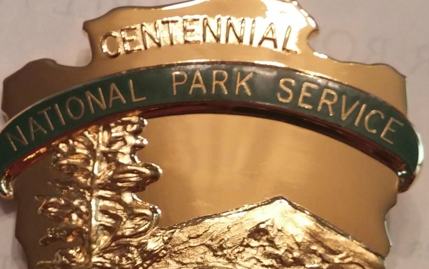St. Croix Man Gets 90 Days Imprisonment For Resisting Park Ranger