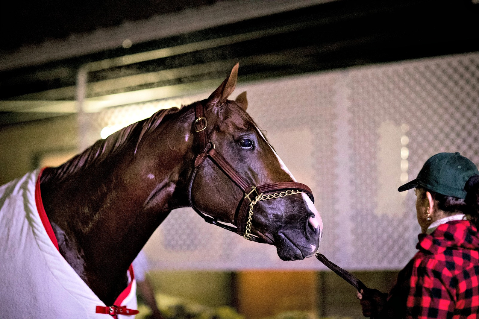 Are Some USVI Horses Drugged With Cocaine And Heroine Before Races? Opinion From Former A.G. Yes Says