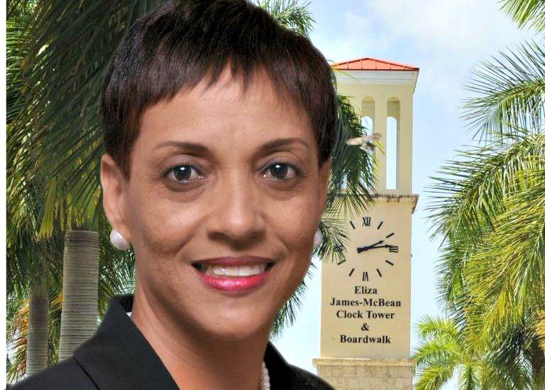Diane Capeheart Appointed AARP VI Associate State Director For Advocacy And Community Outreach