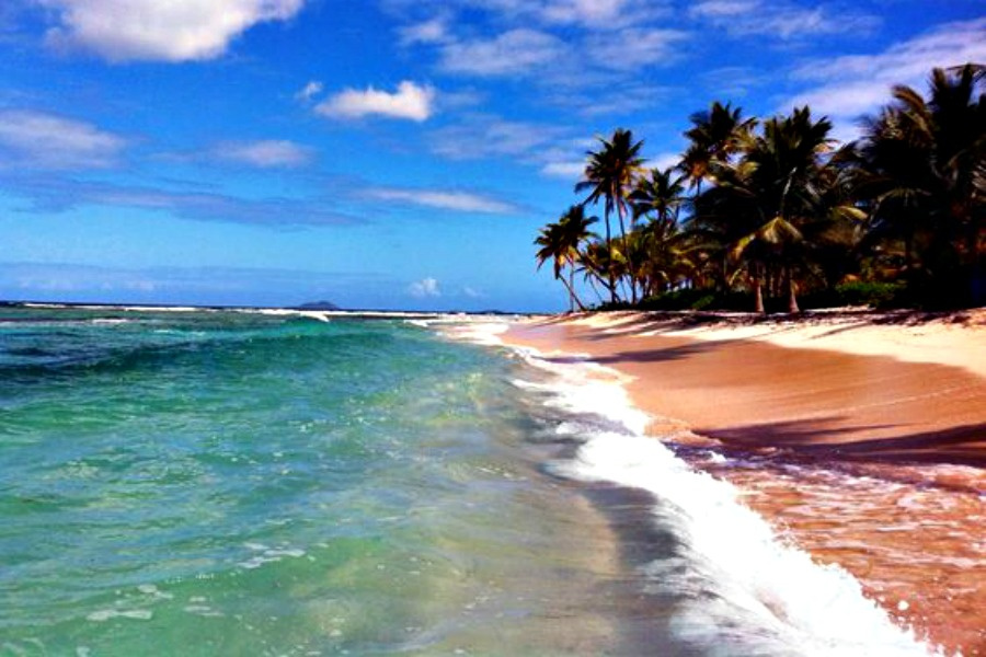 Only Princess Beach Deemed Unsafe, But D.P.N.R. Expects Negative Environmental Impacts Caused By Storm-Water Runoff