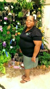orchidshow