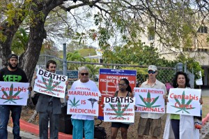 Medical marijuana advocates picket outside of the Juan F. Luis Hospital and Medical Center's middle entrance