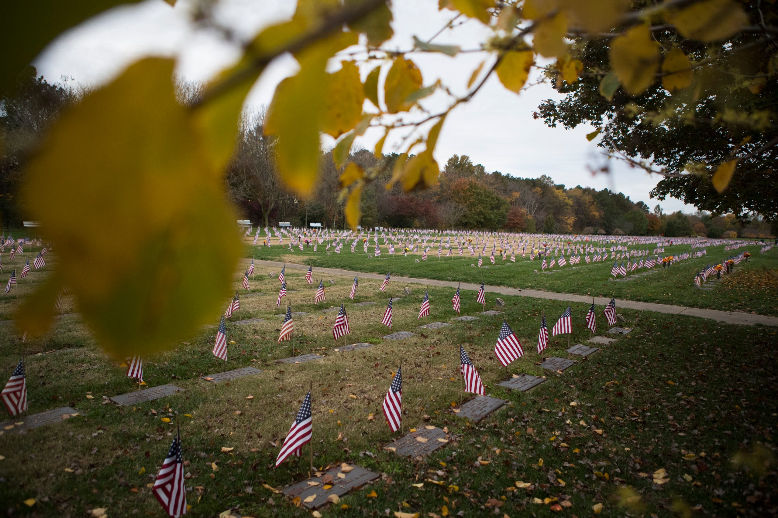 Territory May See Veterans Cemetery Through DeGazon-Sponsored Bill