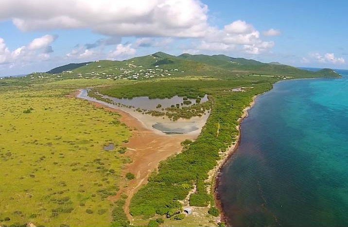 East End Marine Park To Host Great Pond Bay Tour