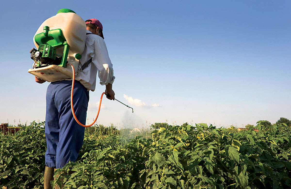 'Safeguarding Children', The Focus Of BVI Pesticide Awareness Week