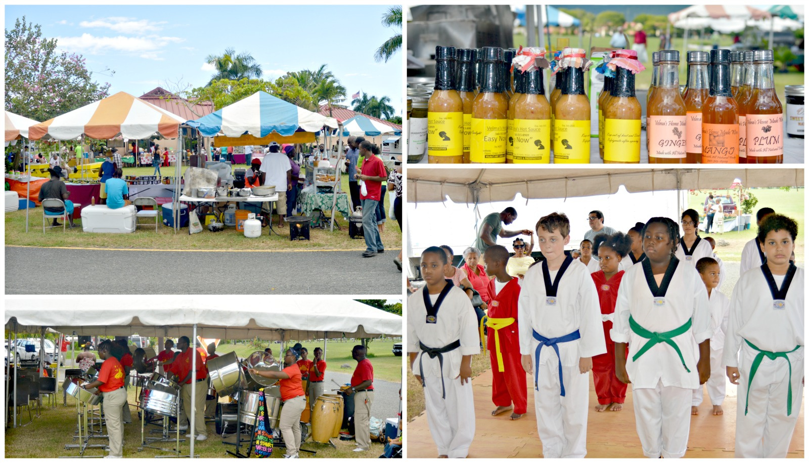 V.I. Talent On Display At U.V.I.'s World Food Day Event