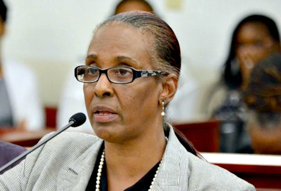 Senators Castigate Anita Roberts, Human Services Commissioner, On Handling Of Sea View Patients' Removal