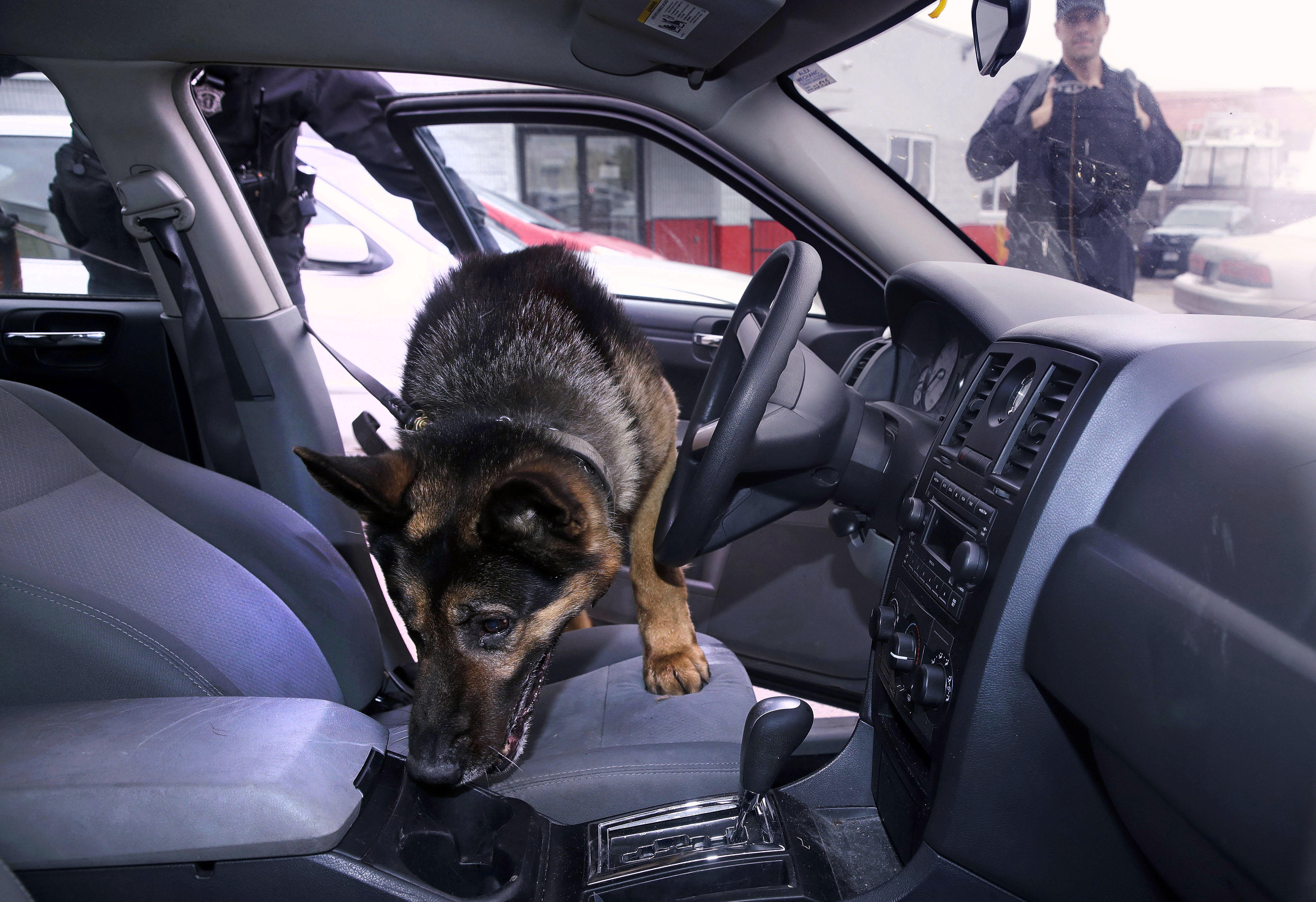St. Croix Man Pleads Guilty After K-9 Dog Detects Crack Cocaine, Cocaine And Marijuana In His Vehicle; A .38 Caliber Handgun Was Also Found