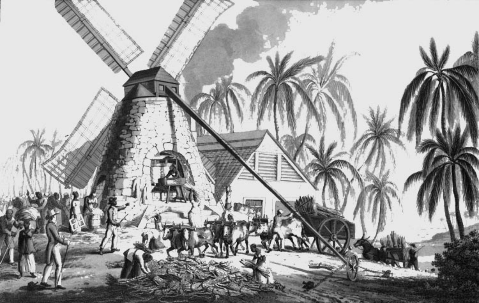 Denmark Moravians Apologize For Slavery Of Virgin Islands; Statement To Be Read At Moravian Churches Across Territory