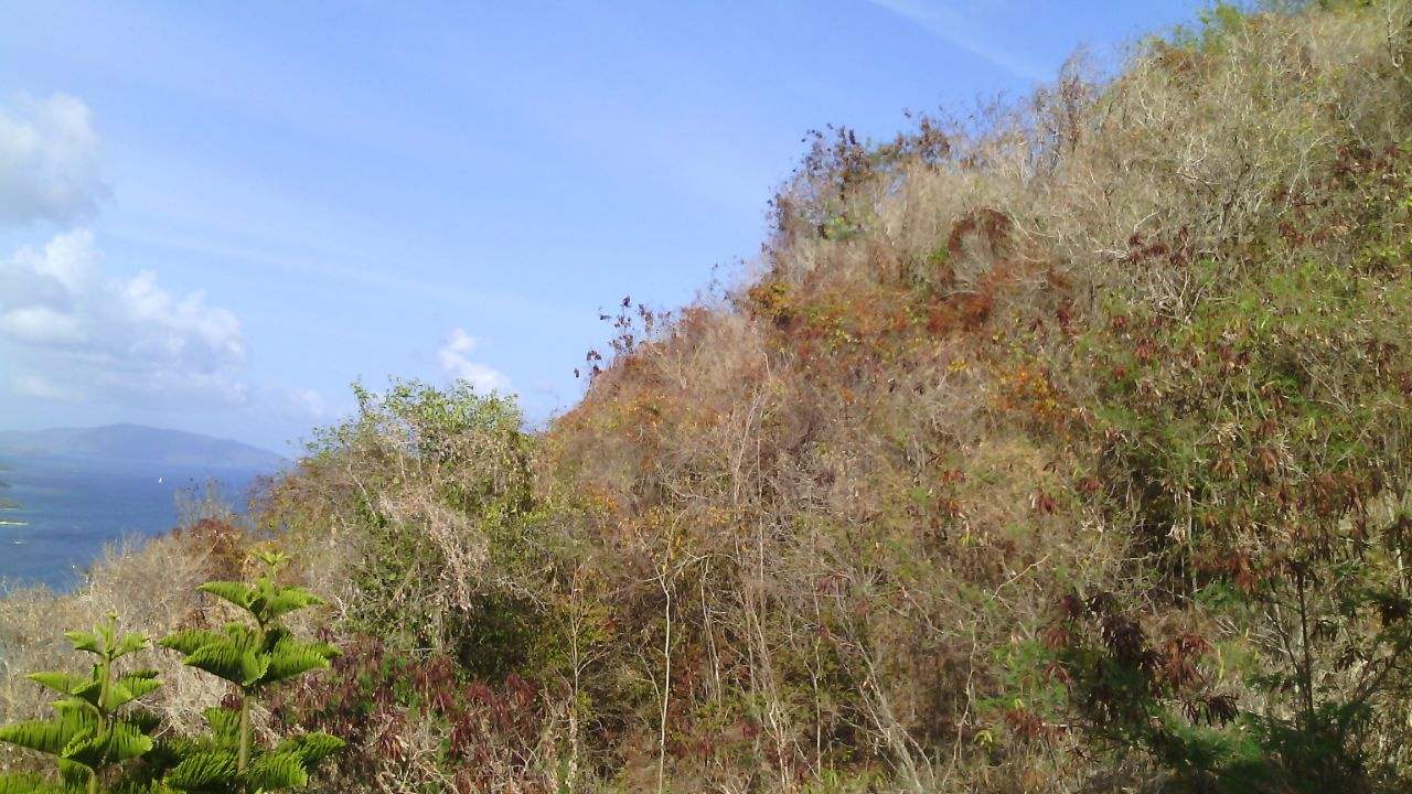 BVI Residents Experiencing Harsh Conditions Associated With Ongoing Drought