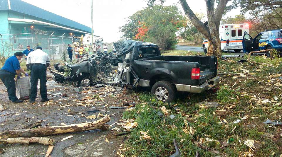 Man Dies After Truck Crashes Into Tree In Williams Delight