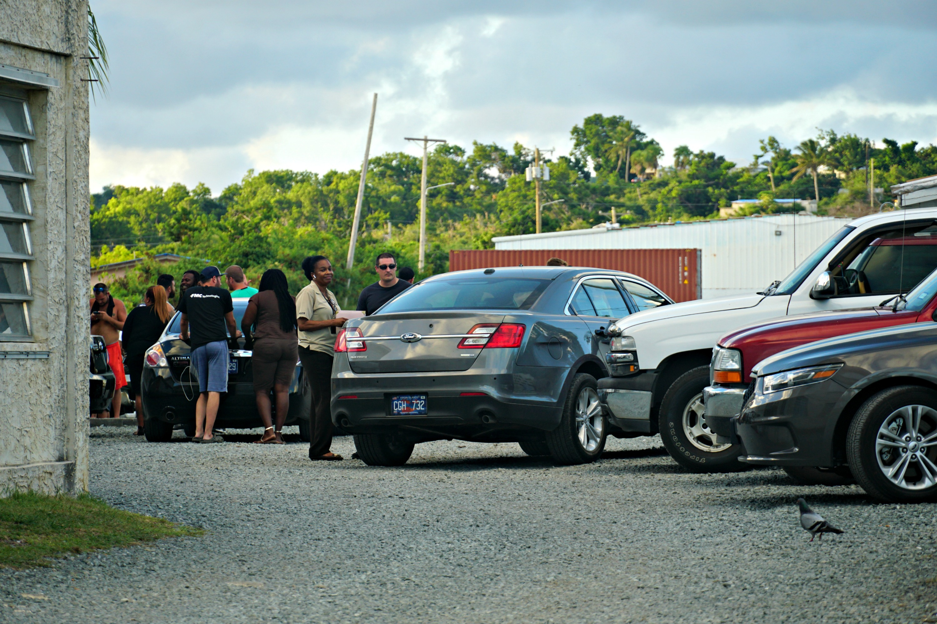 V.I.P.D. Investigators Descend On Peter's Rest Location Of Campbell Development As Crisis Snowballs
