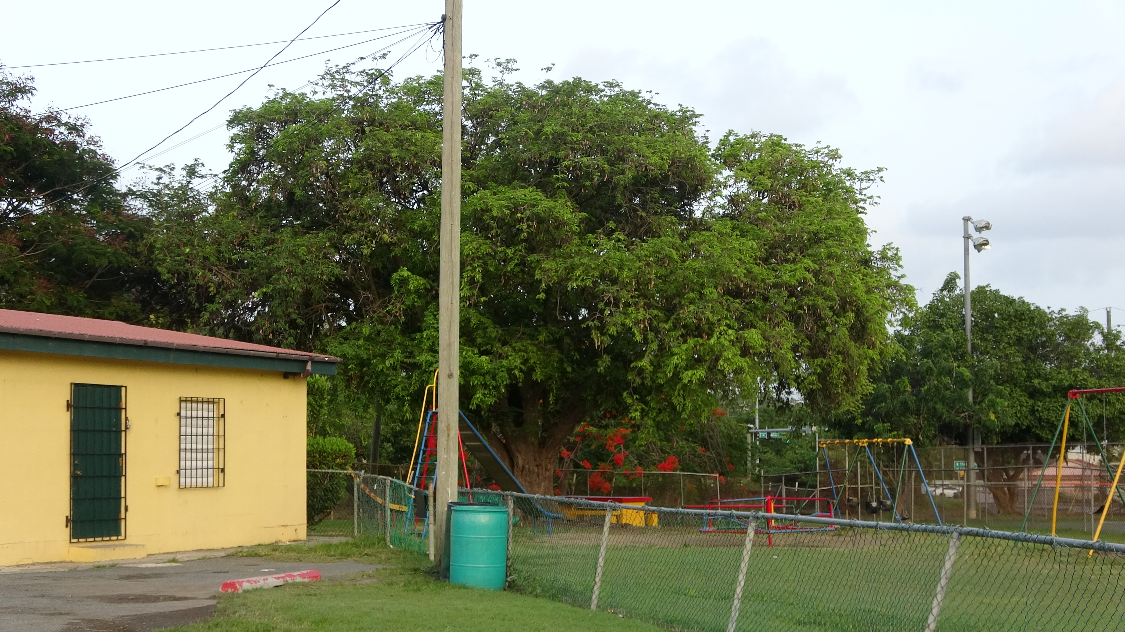 Man Shot At Canegata Ballpark Tuesday Night; V.I.P.D. Investigating Leads