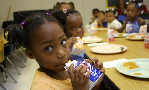 Invitation For Bids: Government Seeking Firm For Purchase And Delivery Of Milk For Human Services's Head Start Program